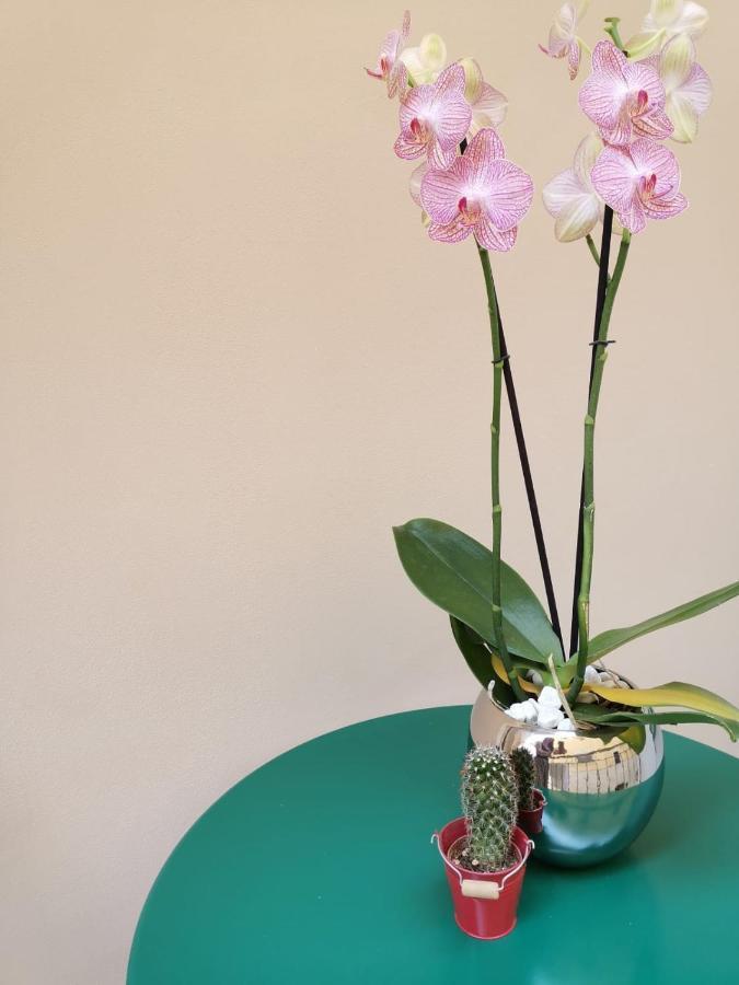 Margherita Boutique Rooms 玛格丽塔萨沃亚 外观 照片